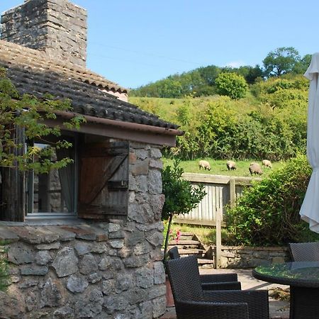 Fenny Castle Vineyard Cottage Wookey Exterior photo