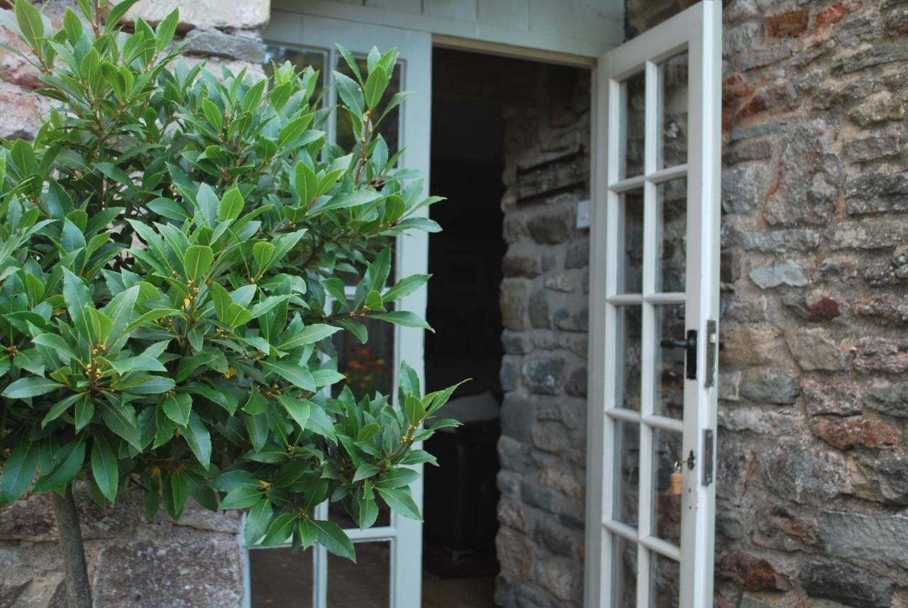 Fenny Castle Vineyard Cottage Wookey Exterior photo