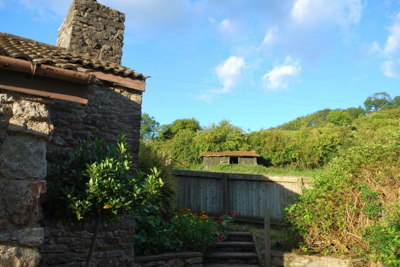 Fenny Castle Vineyard Cottage Wookey Exterior photo