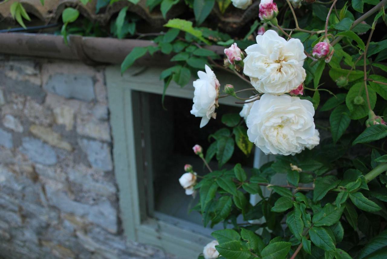 Fenny Castle Vineyard Cottage Wookey Exterior photo