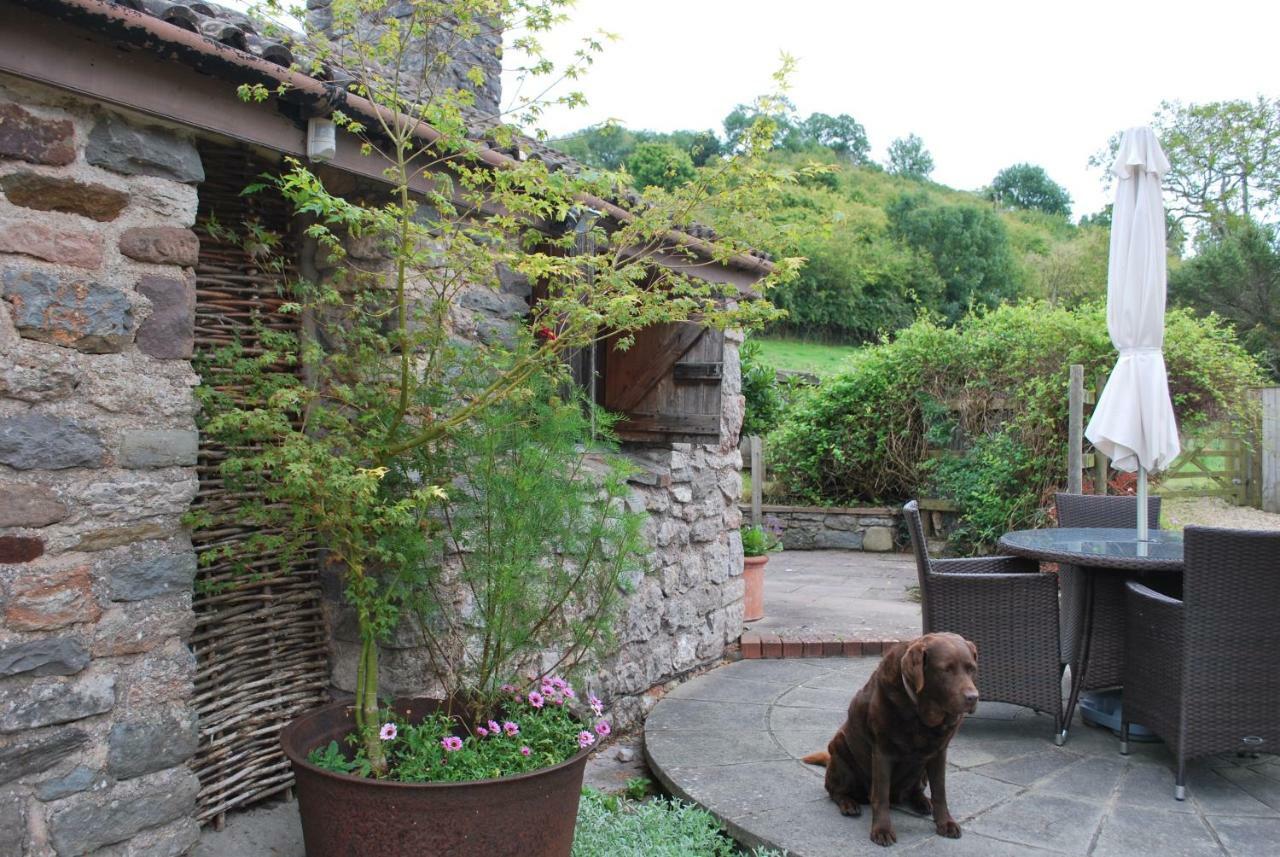 Fenny Castle Vineyard Cottage Wookey Exterior photo